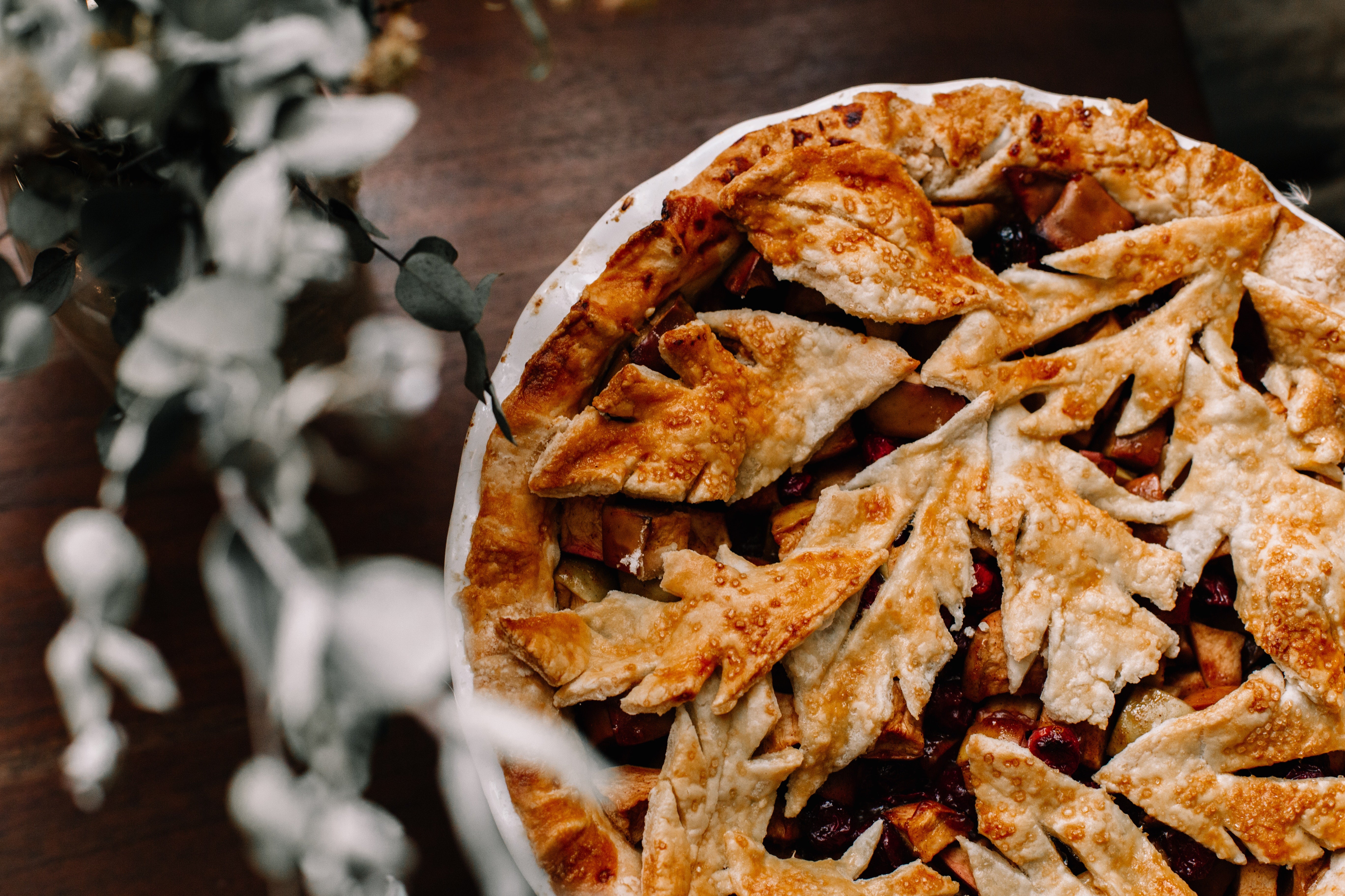 Indulge in Autumn's Bounty with Nourish & Nosh's New Menu