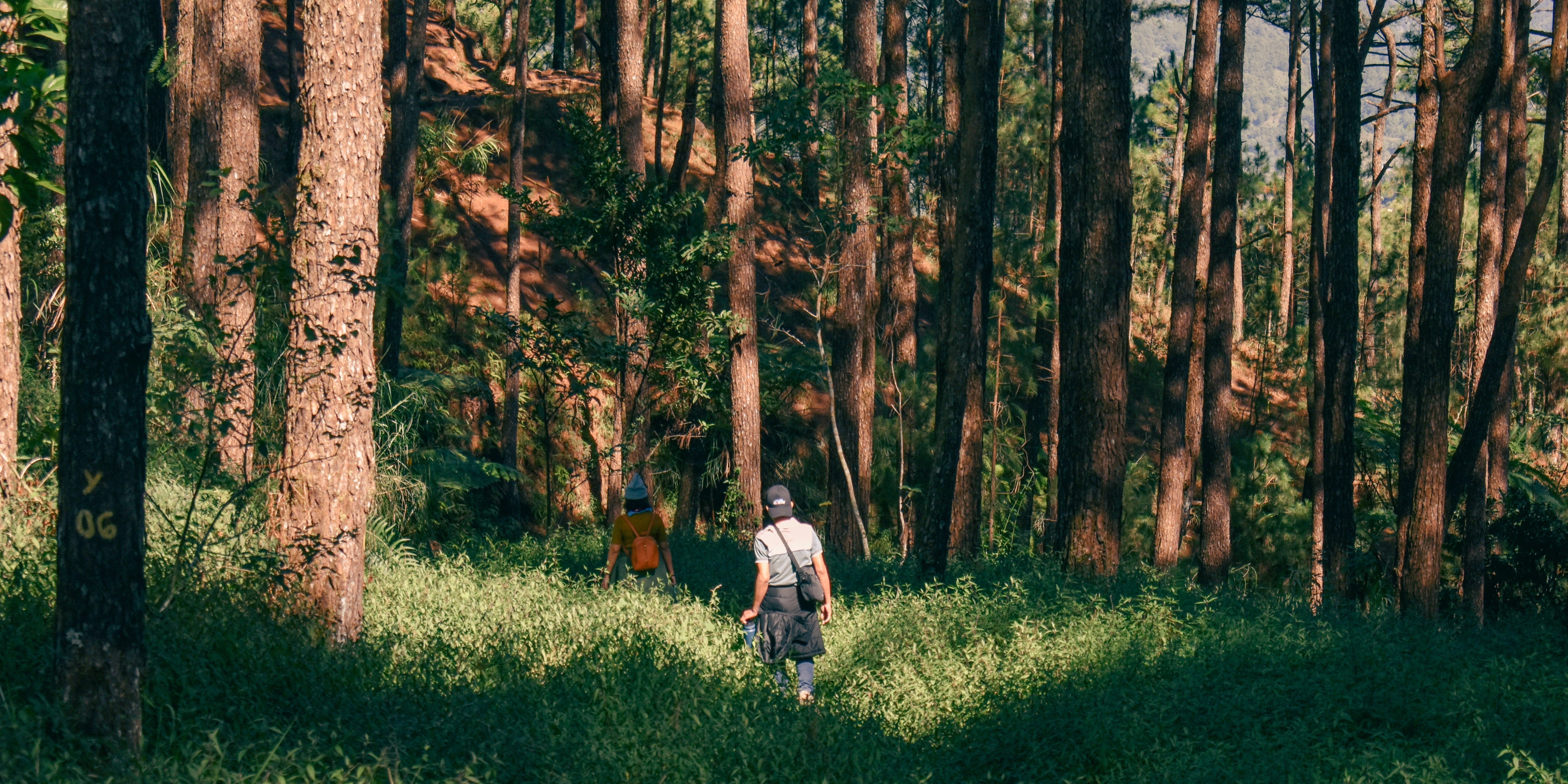 Can Anti-Inflammatory Strategies Help Treat Depression in Older Adults?