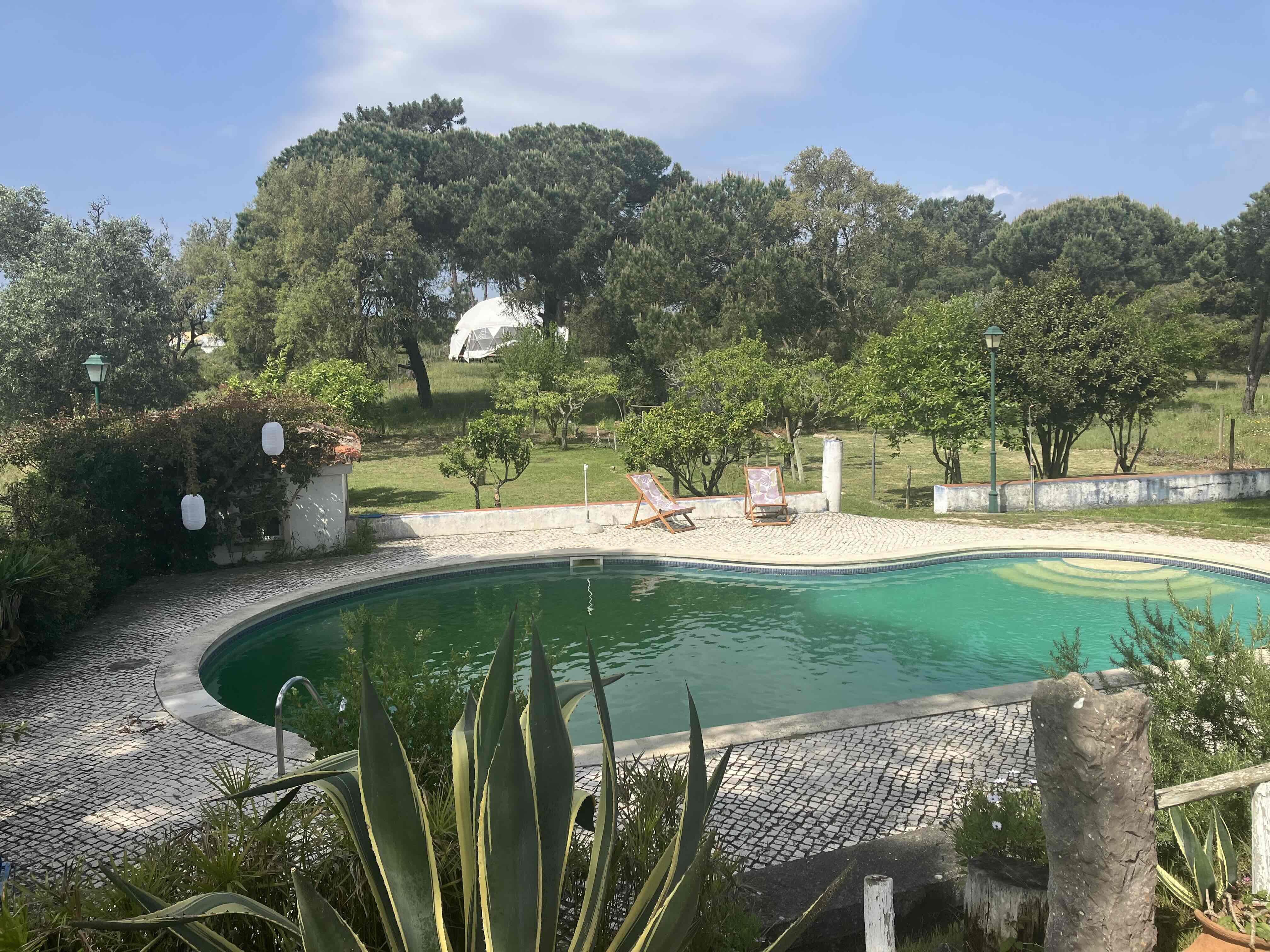 Empowering Wellness: Tools and Insights from Our Latest Retreat