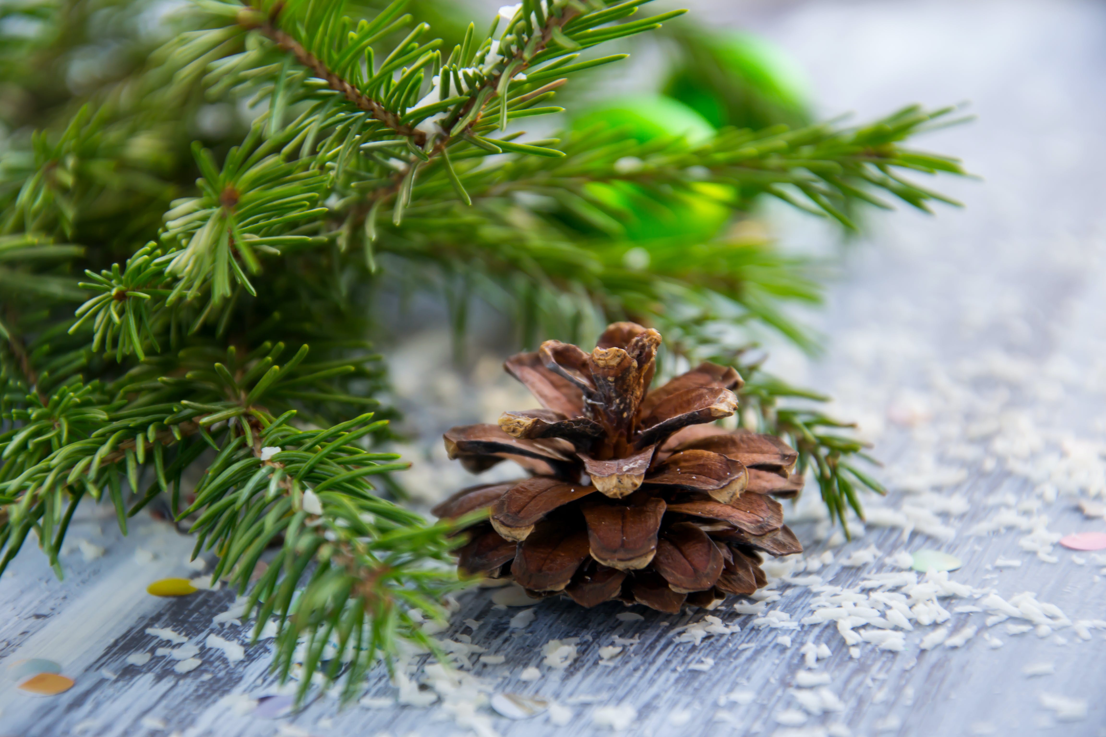 Savoring Winter's Best with Nourish & Nosh's Organic Food Delivery in Lisbon