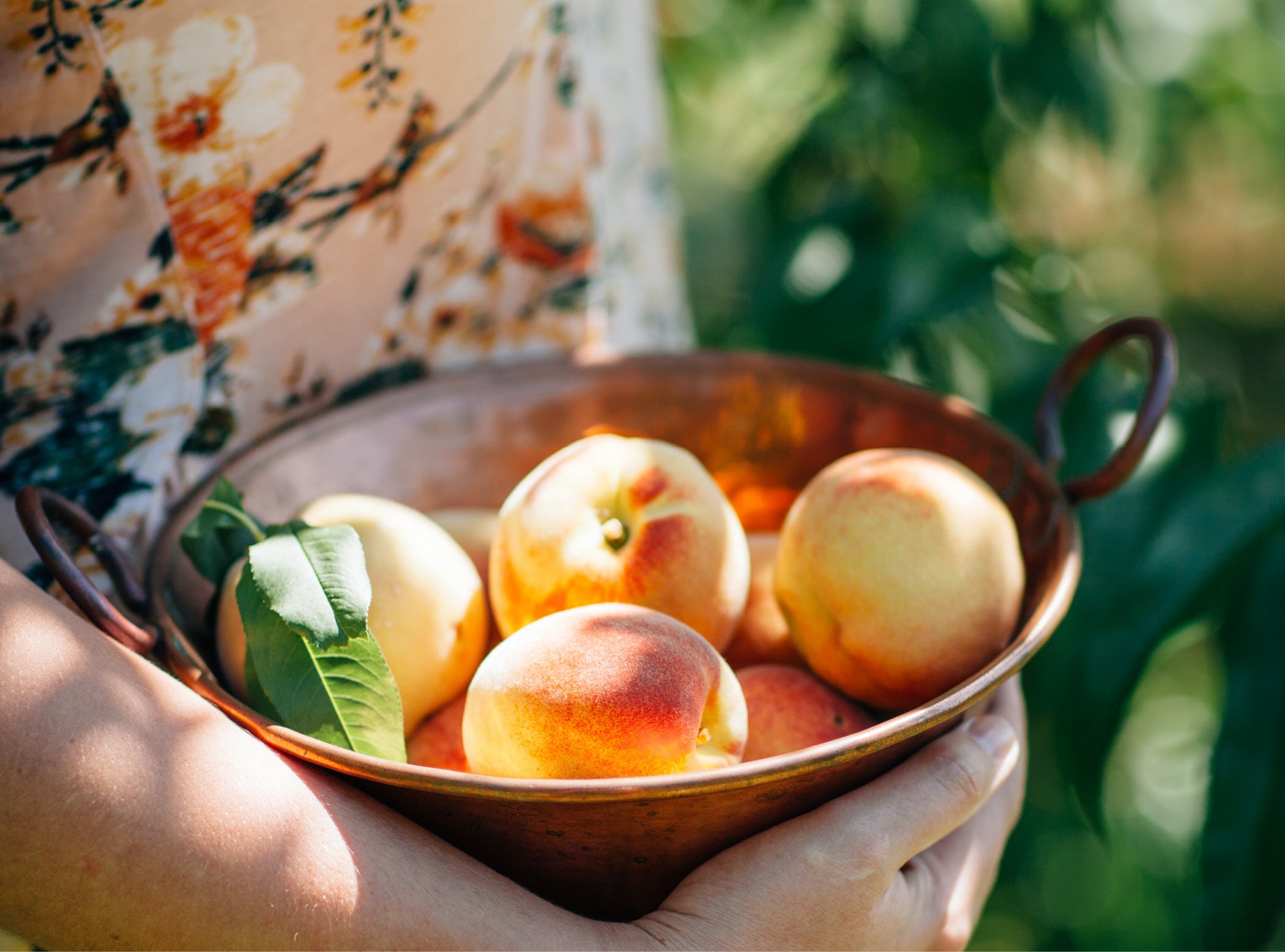 The Power of Organic Eating