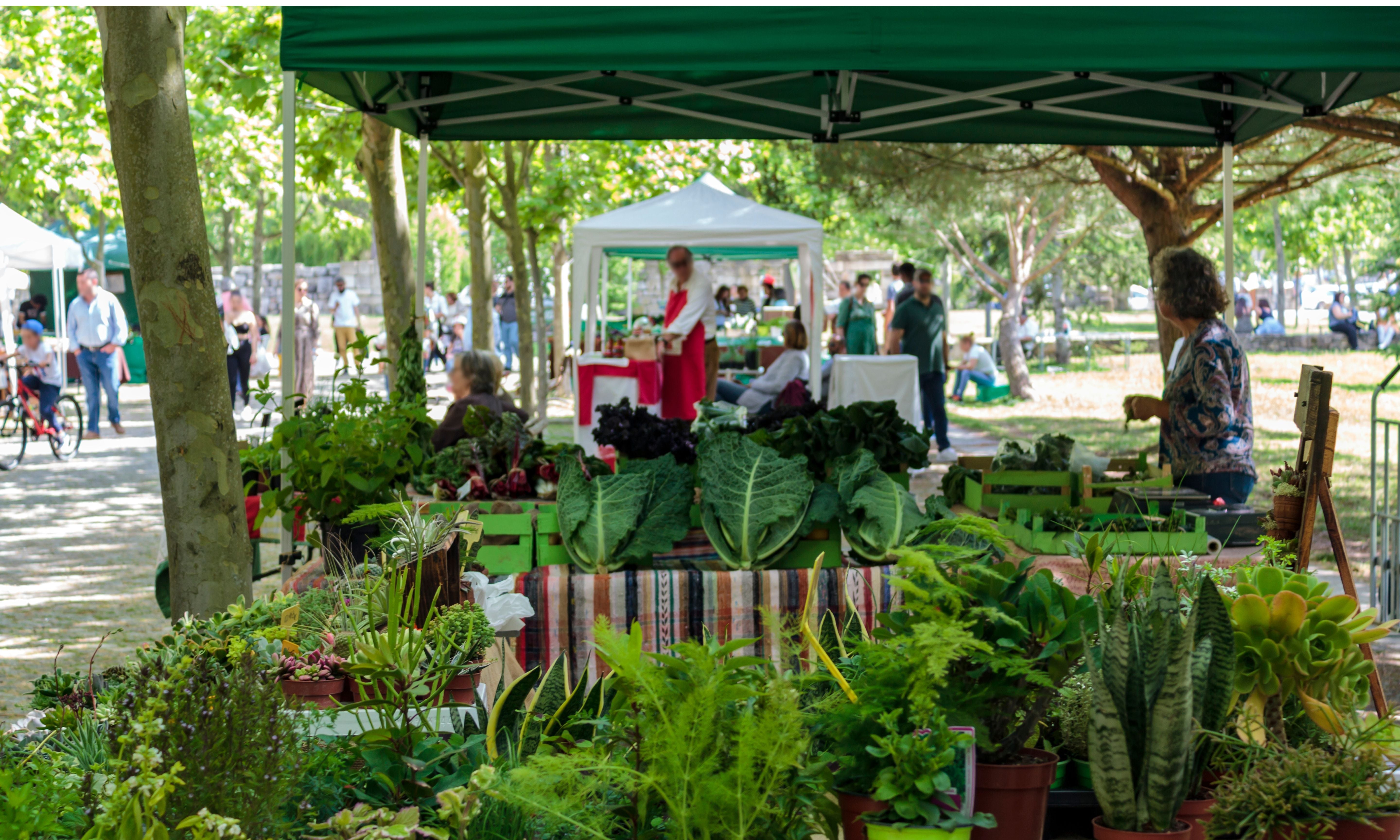 What Eating Local Really Means