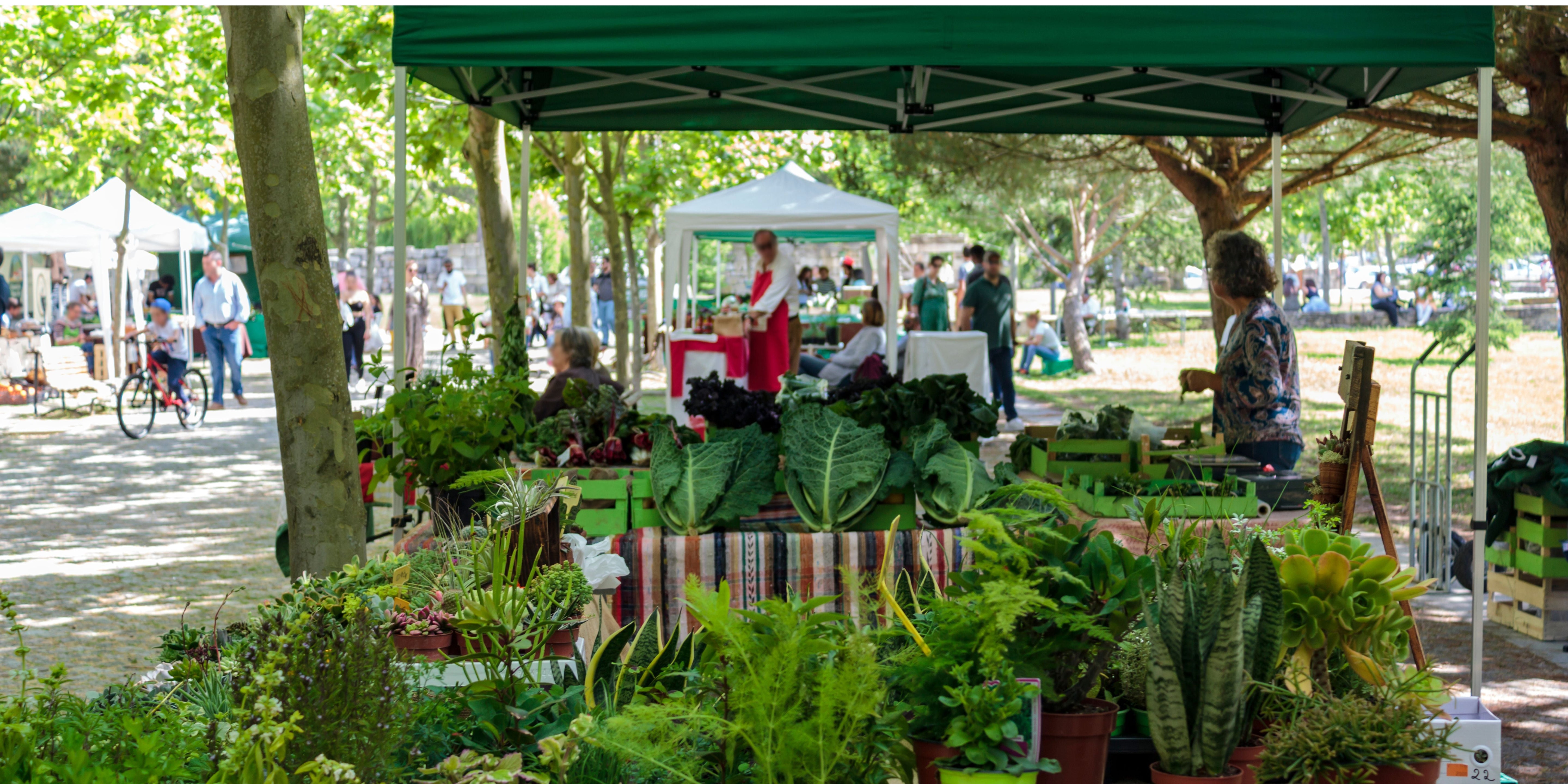 What Eating Local Really Means